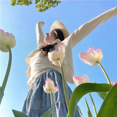 苏菲的世界